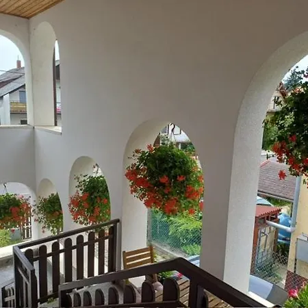 Apartment 6rooms Heviz-balaton Heviz