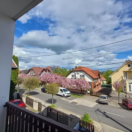 Apartment 6rooms Heviz-balaton