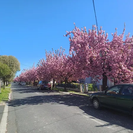 דירה 6rooms Heviz-balaton Hévíz
