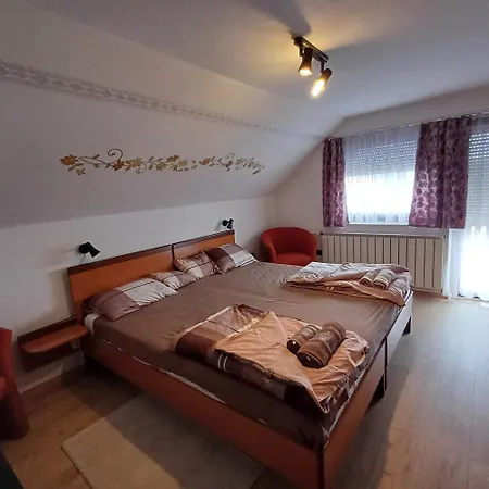 Apartment 6rooms Heviz-balaton Heviz