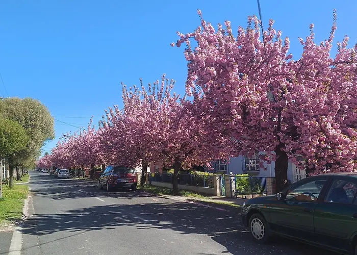 Apartment 6rooms Heviz-balaton Heviz